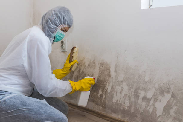 Forensic Mold Investigation in Melbourne, FL