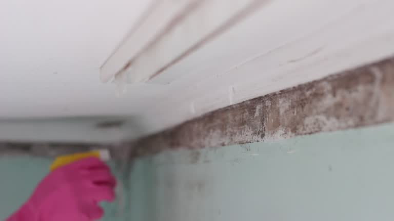 Best Dehumidification Services  in Melbourne, FL